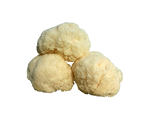 Organic Lion’s Mane (Dual-Extracted Fruiting Body)