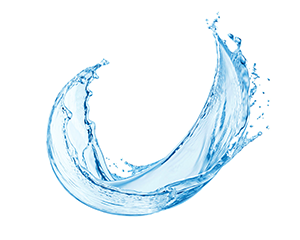 Purified Water