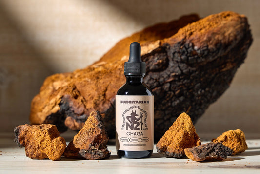 Chaga Mushroom Drops