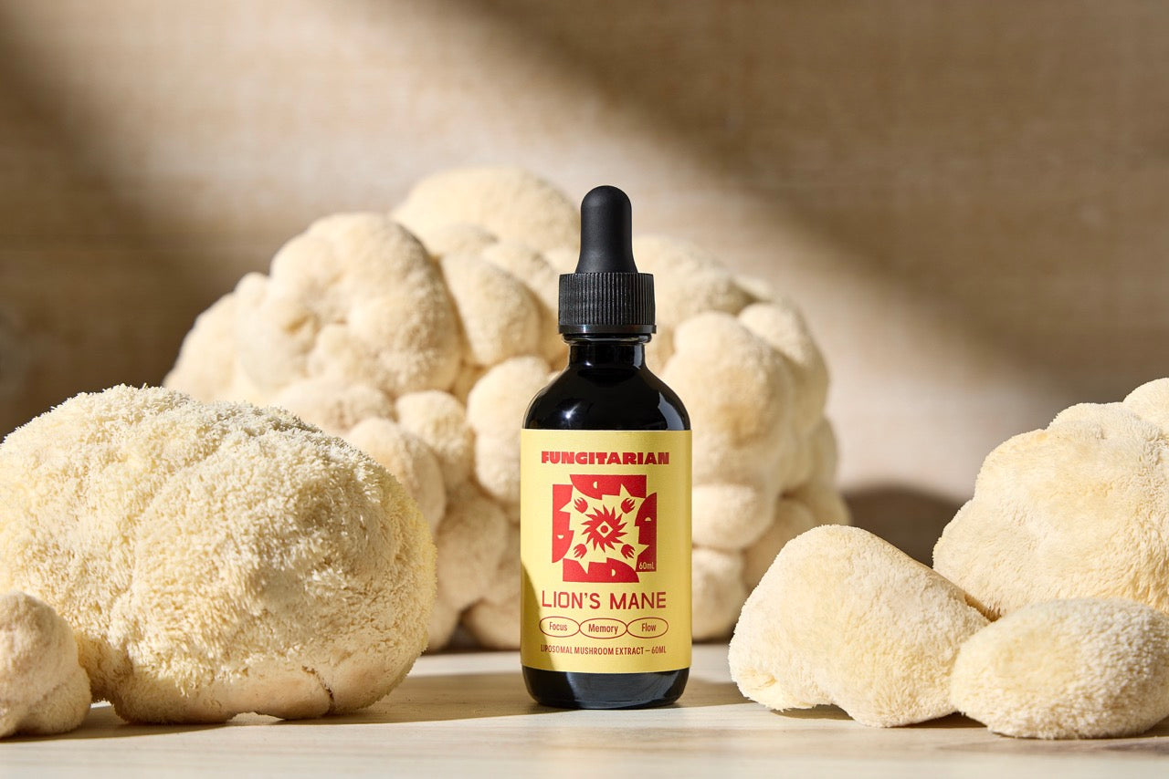 Lion’s Mane Mushroom Drops